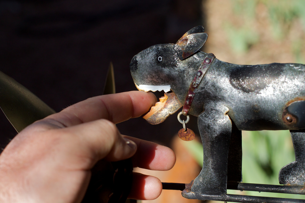 dogs that bite the most what breeds of dogs bite the most auger site dogs that bite the most what breeds of dogs bite the most auger site