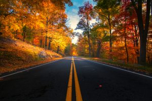 Road on a freezing fall afternoon