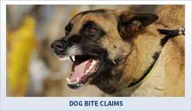 Litigation Attorney