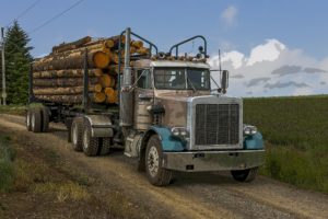 logging truck carrying load