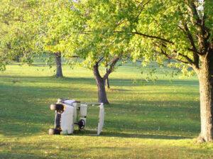 What Insurance Covers Golf Cart Accidents in North Carolina?