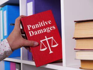 Does North Carolina Allow Punitive Damages?